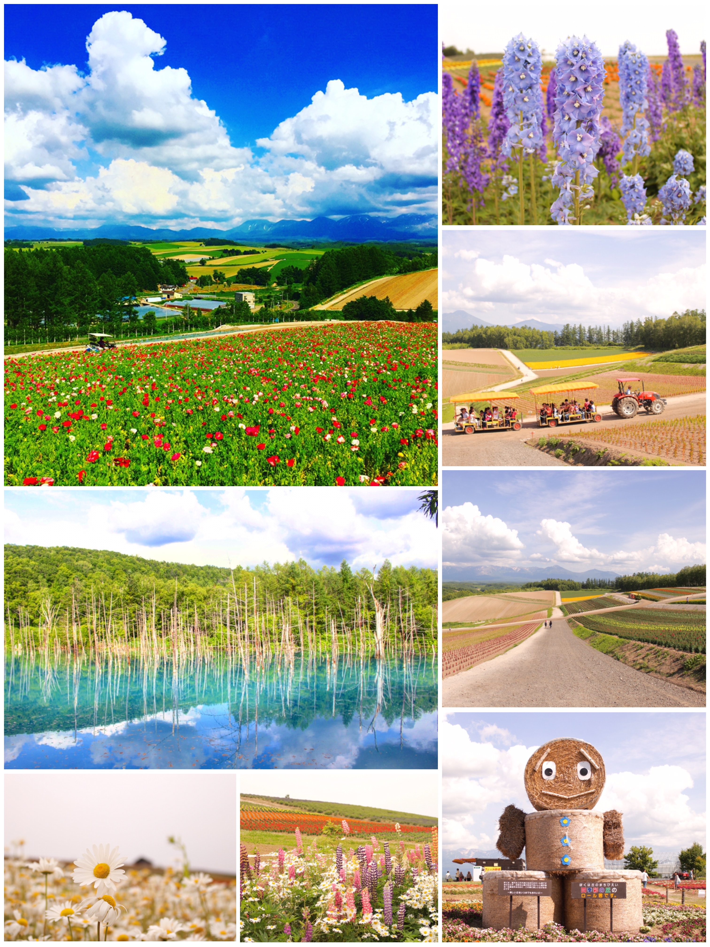 ☺北海道☺