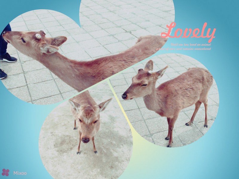 thumbnail２