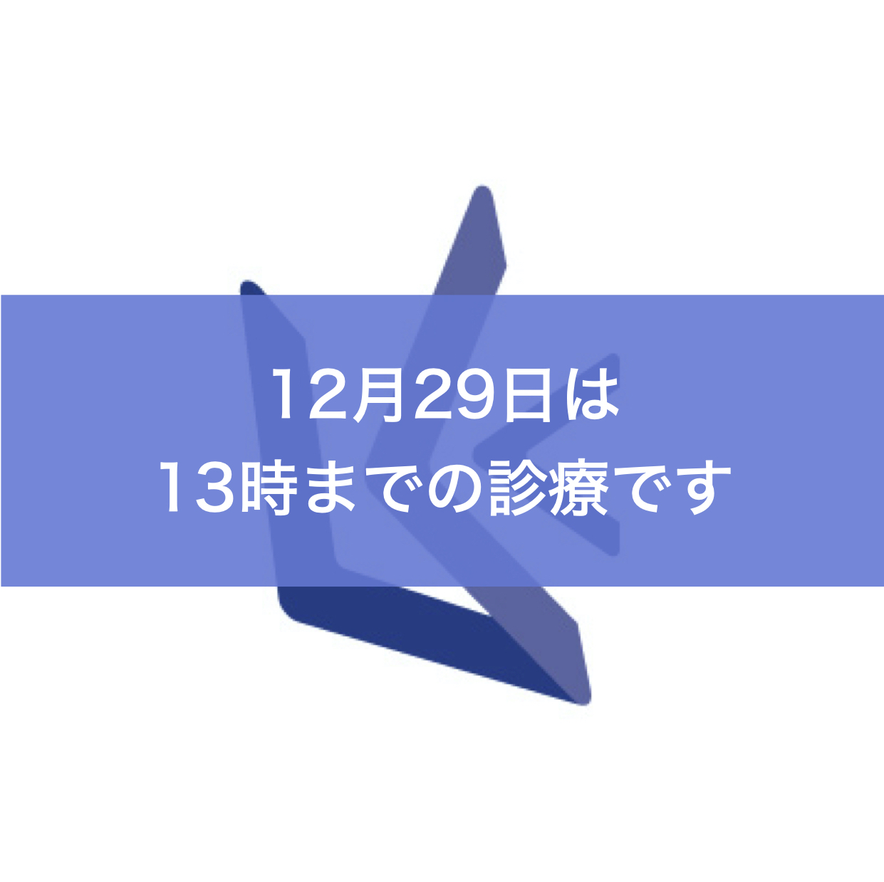 １２月２９日まで診療します