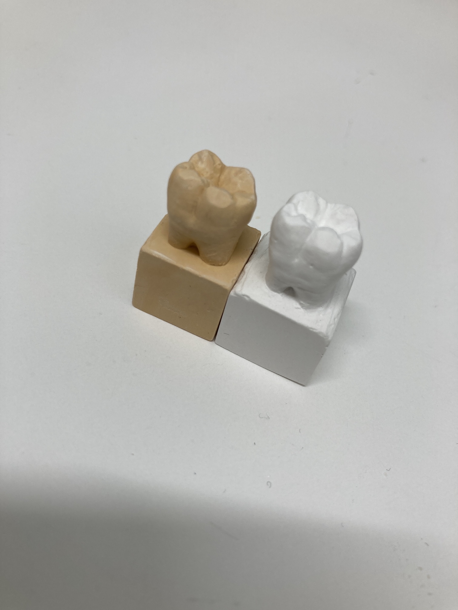 技工士の高屋です。