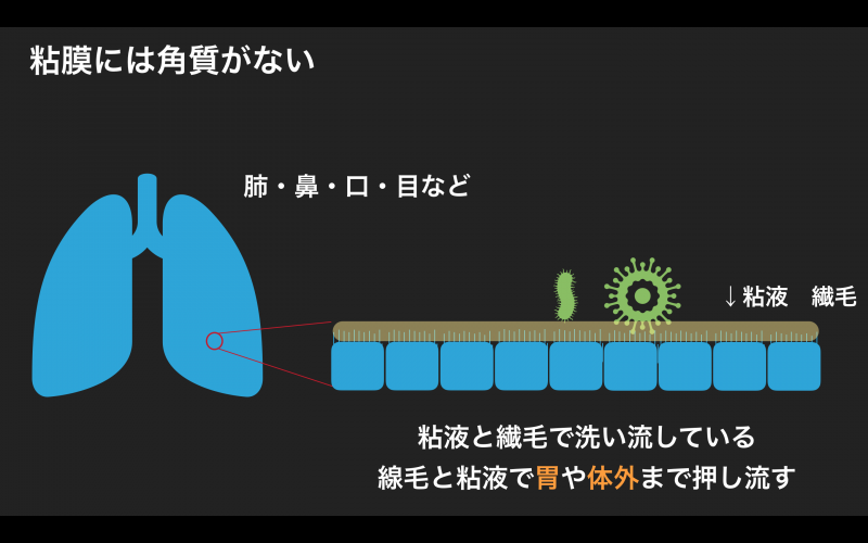 コロナに負けるな 知って得する中学生でもわかる免疫学 新浦安の歯医者 歯科なら栗林歯科医院